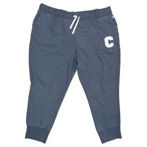 Champion Sweatpants Men’s Size 2XL Grey Active Athletic Jogger 41x27